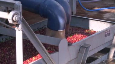 Makine kahve işlenmesi için