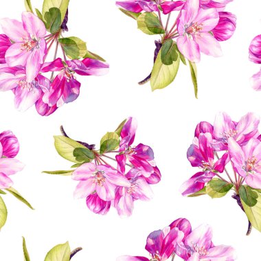 İlkbaharın kusursuz çiçek açan elma ağaçları. Çiçeksiz suluboya desen.