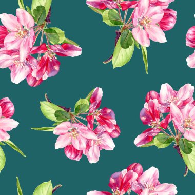 İlkbaharın kusursuz çiçek açan elma ağaçları. Çiçeksiz suluboya desen.