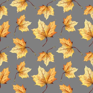  Sonbahar yapraklarının suluboya desenleri