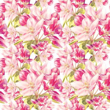 İlkbaharın kusursuz çiçek açan elma ağaçları. Çiçeksiz suluboya desen.