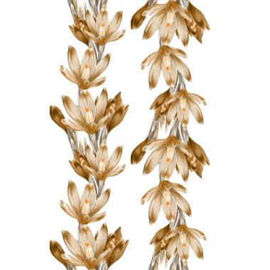 Crocus çiçeklerinin suluboya desenleri.