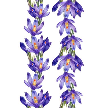 Crocus çiçeklerinin suluboya desenleri.