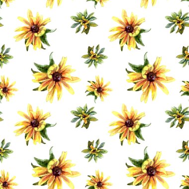 Rudbeckia çiçeklerinin suluboya desenleri.