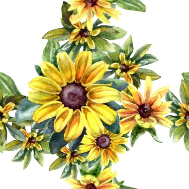 Rudbeckia çiçeklerinin suluboya desenleri.