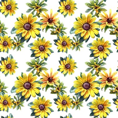 Rudbeckia çiçeklerinin suluboya desenleri.