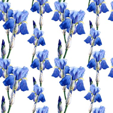 Göz çiçeklerinin dikişsiz suluboya deseni. Bahar botanik illüstrasyonu, Paskalya, düğün deseni.