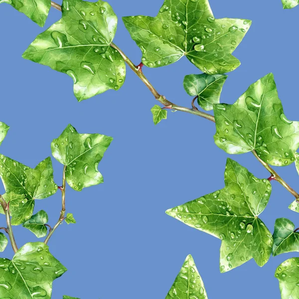 Acquerello Modello Edera Senza Soluzione Continuità Illustrazione Botanica Acquerello — Foto Stock