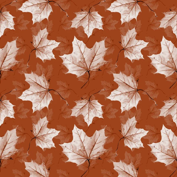 Watercolor Seamless Pattern Autumn Leaves — Stock Photo, Image