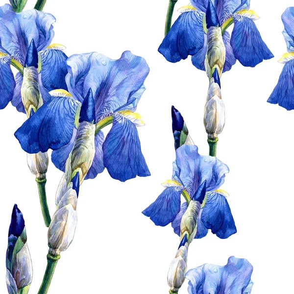 Akvarell Sömlös Mönster Iris Blommor Botanisk Vårillustration Påsk Bröllopsmönster — Stockfoto