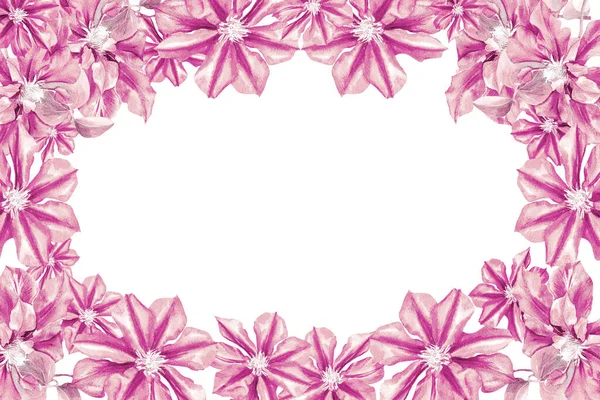 Postkarte Klematisblütenrahmen Hochzeitskarte Mit Clematisblüten Auf Weißem Hintergrund — Stockfoto