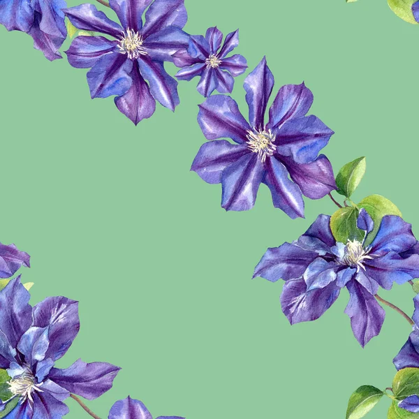 Watercolor Seamless Pattern Clematis Flowers Original Botanical Background — Stock Photo, Image