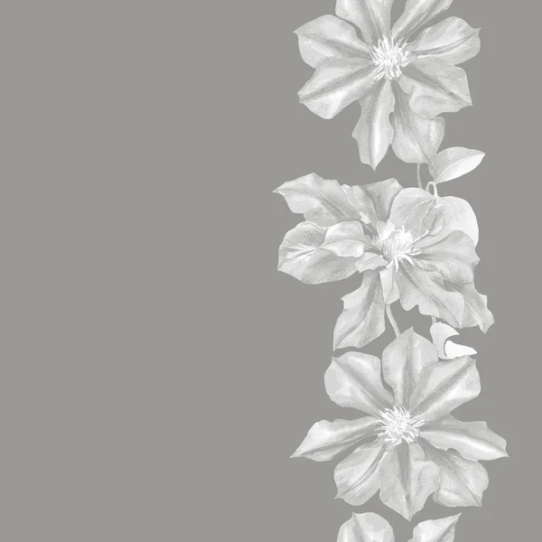 Akwarela Bezszwowy Wzór Kwiatów Clematis Oryginalne Tło Botaniczne — Zdjęcie stockowe