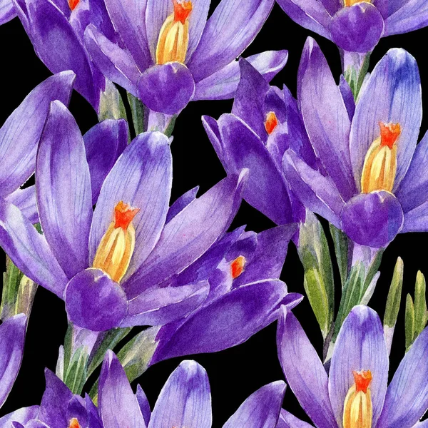 Crocus Çiçeklerinin Suluboya Desenleri — Stok fotoğraf