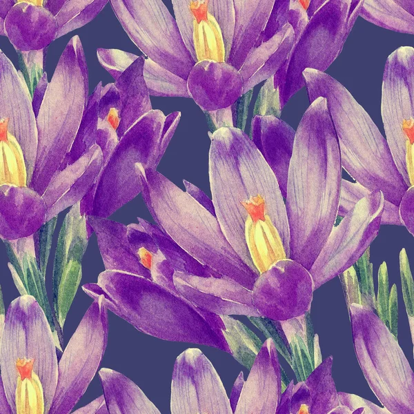 Acquerello Modello Senza Soluzione Continuità Fiori Crocus — Foto Stock