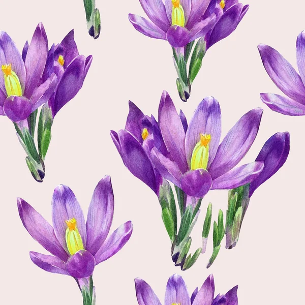 Akvarell Sömlös Mönster Crocus Blommor — Stockfoto