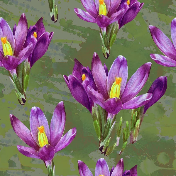 Crocus Çiçeklerinin Suluboya Desenleri — Stok fotoğraf