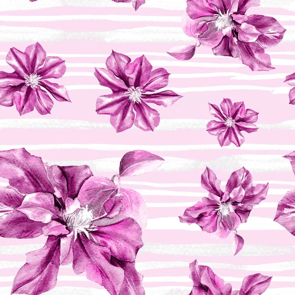 Watercolor seamless pattern of clematis flowers. Original Botanical background.