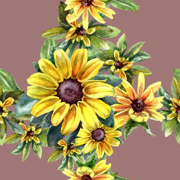 Acquerello Modello Senza Soluzione Continuità Fiori Rudbeckia — Foto Stock