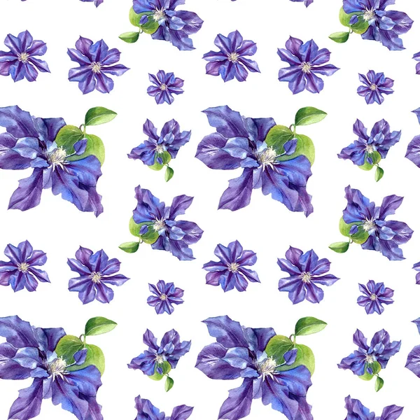 Watercolor Seamless Pattern Clematis Flowers Original Botanical Background — Stock Photo, Image