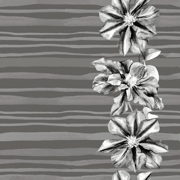 Aquarell Nahtloses Muster Von Clematis Blüten Ursprünglicher Botanischer Hintergrund — Stockfoto