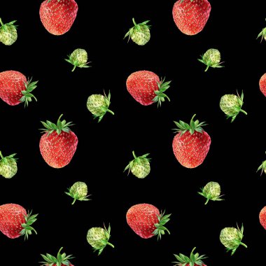 Suluboya, dikişsiz çilek deseni. Çilek bahçesi, botanik illüstrasyon, çalılık ve böğürtlen deseni..