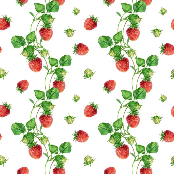 Watercolor seamless strawberry pattern. Strawberry garden, botanical illustration, pattern of bushes and berries.