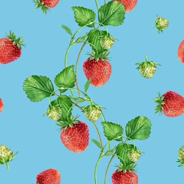 Watercolor seamless strawberry pattern. Strawberry garden, botanical illustration, pattern of bushes and berries.