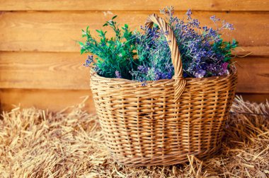 Arka plan: iç stüdyo, ülkenin iç dekorasyon