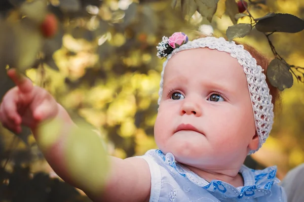 Mała dziewczynka widzi owoce śliwki na gałęzi drzewa — Zdjęcie stockowe