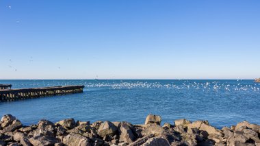Karadeniz, Poti, Gürcistan