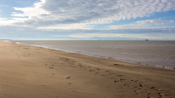 Balık tutma, sörf karadeniz