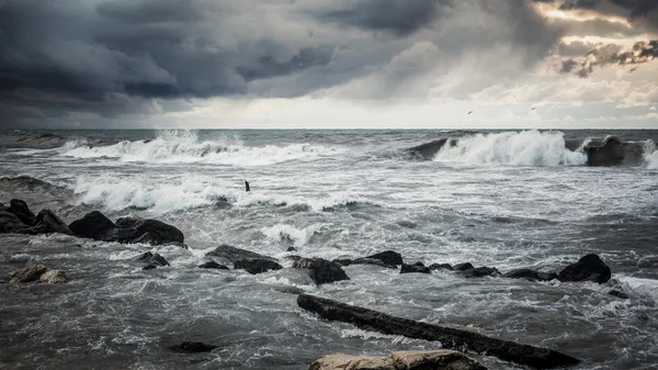 Stormen vid Svarta havet — Stockfoto