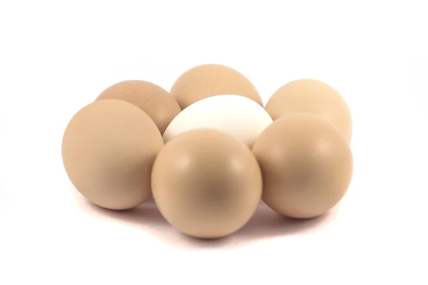 Ouă izolate pe fundal alb — Fotografie, imagine de stoc