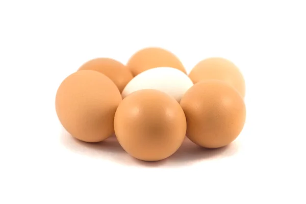 Eieren geïsoleerd op witte achtergrond — Stockfoto