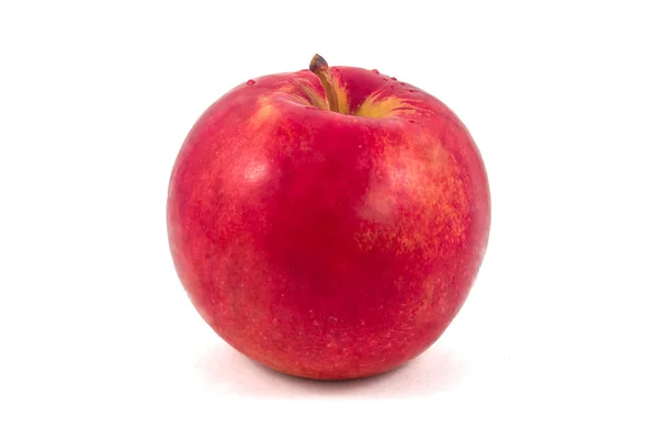 Manzana roja mojada sobre un fondo blanco — Foto de Stock