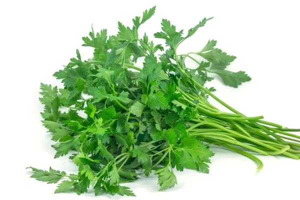 食品 ingredien、白地に分離された新鮮な緑のパセリ — ストック写真