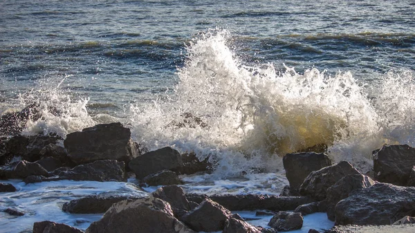 Våg-havet och Svarta havet, Poti, Georgien — Stockfoto