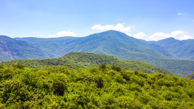 Tepeler ve yukarıda da görüleceği ormanlar
