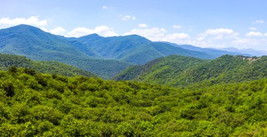 Tepeler ve yukarıda da görüleceği ormanlar