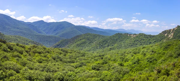 Heuvels en bossen van bovenaf gezien — Stockfoto