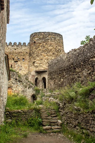 Замок Ананури, замковый комплекс на реке Арагви в Грузии — стоковое фото