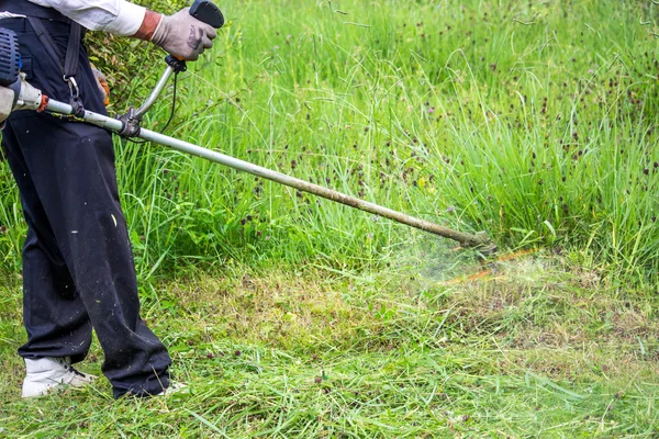 O jardineiro cortando grama por cortador de grama — Fotografia de Stock