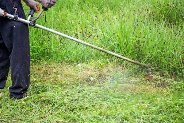 O jardineiro cortando grama por cortador de grama — Fotografia de Stock