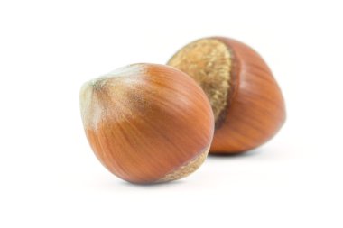 Beyaz arka planda, gıda izole fındık