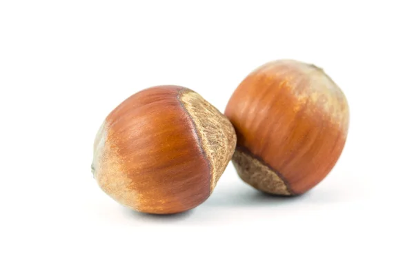 Lískové ořechy izolované na bílém pozadí, jídlo — Stock fotografie