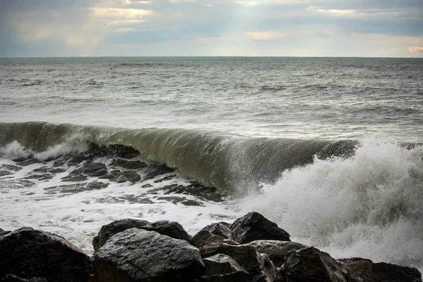 Велика Морська Волна на березі Чорного моря, поті, Грузія — стокове фото