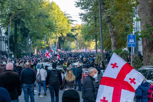 Tbilisi Georgien November 2020 Demonstration Protest Mot Bidzina Ivanishzhili Rustaveli — Stockfoto