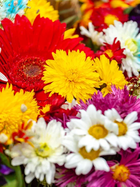 Buquê Colorido Flores Florescendo Mercado Livre Atmosfera Típica Loja Flores — Fotografia de Stock