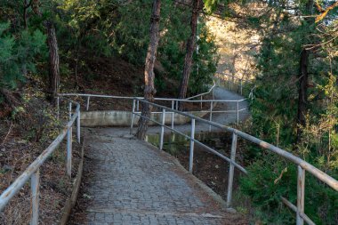 Tatsminda parkına giden yol, sonbahar